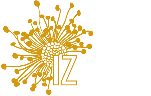 IZ DESIGN | Iolanda Zirondelli